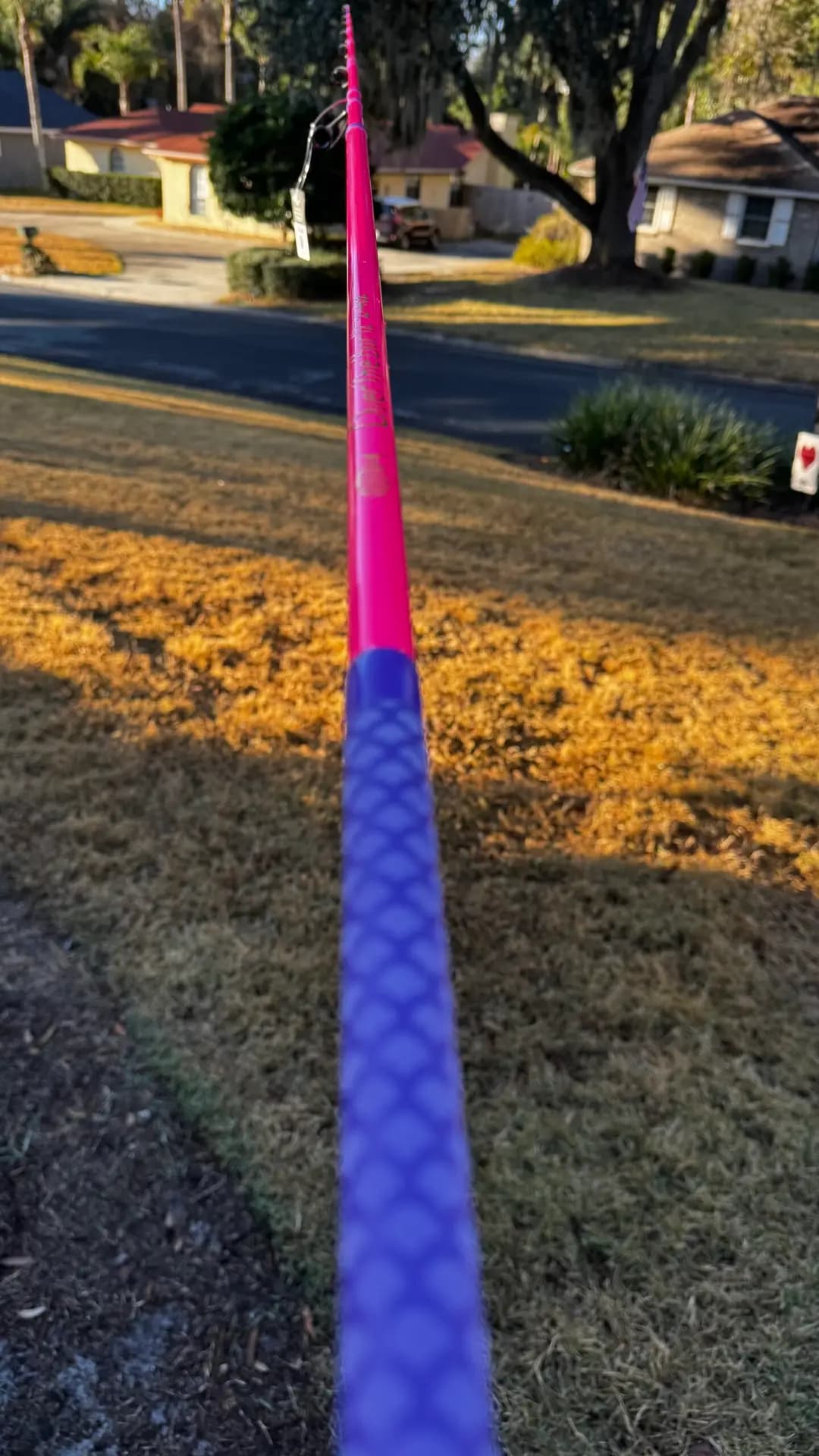 Over The Bar 12 — Pink & Purple